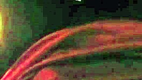 Intense Sex Time with Pussy Action