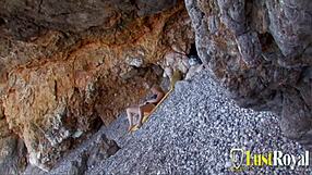 Bu memeli sarışının anal ve köpek pozisyonunda sert almasını seviyorum.