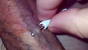 showing off my big cock piercing holes