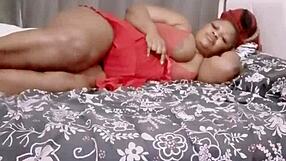 sundaydogood614 - update 960 - vid 20250412 133223 - apr 12 2025