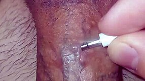 showing off my big cock piercing holes