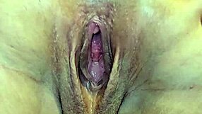 妊娠中のクーガーがアナルと剃毛マンコを大きく広げる