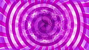 sissy training teaser with extra cream