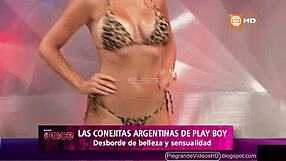 Conejitas Argentinas Show Off Their Wild Side in Peru