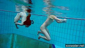 뜨거운 러시아 여자들 수영장에서 수영