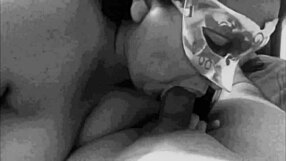 Kimyjim - Video Viejito