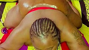 Sundaydogood614 Update 1012 Vid 20250421