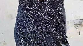 Latina exposes tits and ass on mexican beach