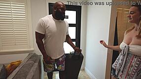 the house pest causes trouble in the kitchen