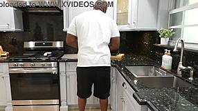 the house pest causes trouble in the kitchen