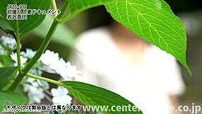 สารคดีเมียครั้งแรก Kayo Iwasawa สาวใหญ่ญี่ปุ่นแอบอมควยแตกใน ทักษะดูดอึ้ง