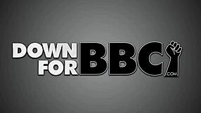 down for bbc - amy brooke gets ass rimmed by black stud