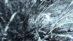 vietnam war veterans sharing a forbidden passionate encounter