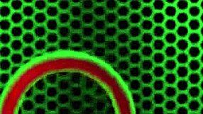 Charlee Chase says she loves sticking that dildo deep inside