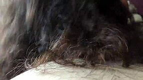 Pretty PAWG Teases with Slow Blowjob Until He Explodes in Her Mouth