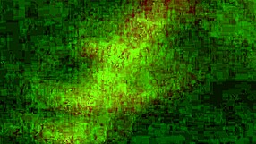 Latina Girlfriend Sucks Cock!