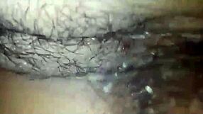 Penetrating Hairy Pussy with Shemale Hardcore Action.