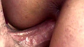 couple fucks and wife opens her ass for anal