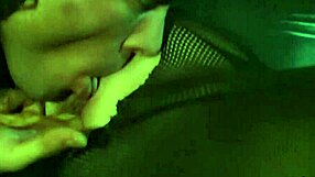 Pussy eating drives busty brunette in stockings to beg for anal