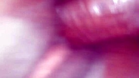 my girlfriend's small tits and black cock adventure