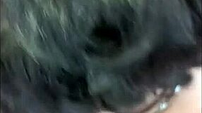 chienne marie serves maitre hervé with raw outdoor action