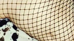 Milf Dances Intense Striptease, Undresses, Takes Big Dick Anal