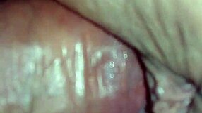 Can You Handle Brazilian Amateurs Finishing Inside?