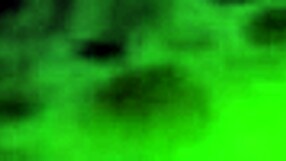 The Boy Gets Blowjob From Sexy Shemale