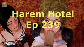 harem hotel 239