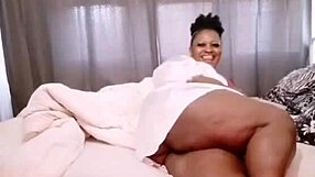 Nigarchrist Update 1382: Petal 20250611 135838 - Jun 11 2025