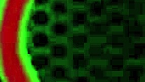 Can Halle Hayes handle Rome Major's BBC in her mouth?