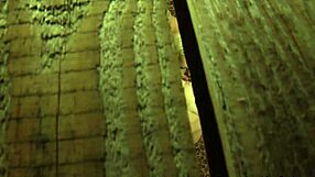 Watch the BIG ASS LESBIAN SLAVE ORGASM in BONDAGE!