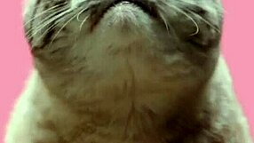 Roxy Fox instructs, 'Follow my cum eating tutorial and swallow every drop'