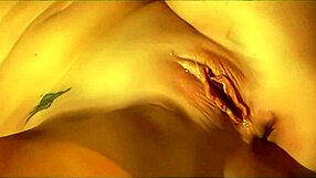 kimberly kane and audrey hollander tease with toys