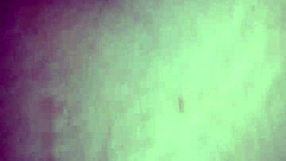 Little April Loves Hardcore Fucking with Her Tight Young Pussy and Big Cock