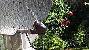 Sexy neighbor with big tits and ass!