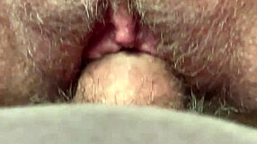 كس شعراء ينيك بقذف في منظر قريب جداً