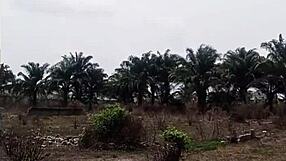 Pretty girl lost in bush gets fucked