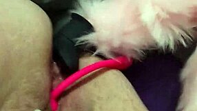 Dp For Chubby Fox In Anal Double Penetration