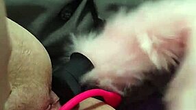 Dp For Chubby Fox In Anal Double Penetration