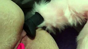 Dp For Chubby Fox In Anal Double Penetration