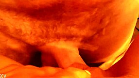 She cheats in the bathroom with a quick fuck