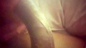 Big Black Cock Ball Licking Unleashed!