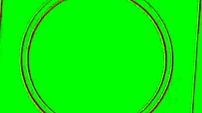 clochette 30ans est en bonne compagnie