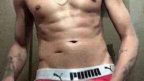 Gosta De Um Malandro Pauzudo Cavalo Exibindo Pra Cam