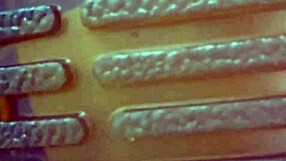 Chuymaury dominates with ball busting in tight stockings