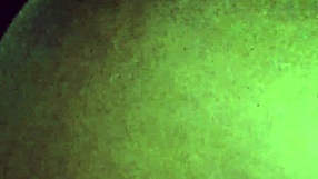 The infidel wife bends over for doggystyle while her husband texts