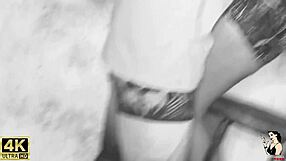 Chayenhy & Pele Vip Trailer Virtual Friend Came to Meet Me in the Construction