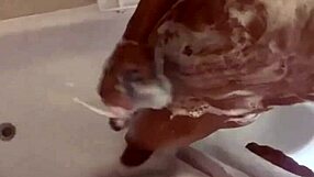 from the shower to the streets baby meet me in the sheets