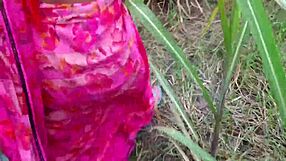 I love fucking my Desi village lover outdoors on the ranch.